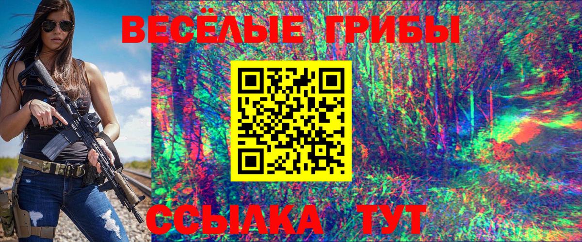 Галлюциногенные грибы прущие грибы  Вход с VPN  Анжеро-Судженск 